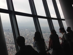 IMG_52351233