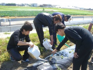 お水をたっぷりあげます11752