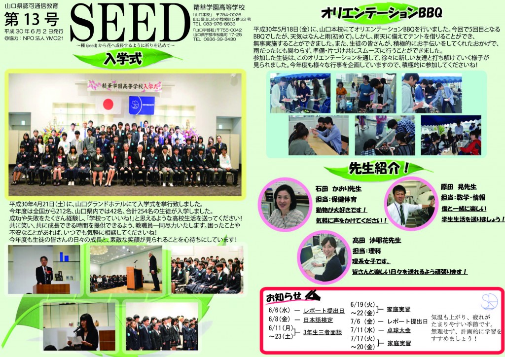 seed第13号アウトライン